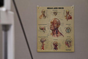 Plakat med anatomisk illustrasjon på veggen
